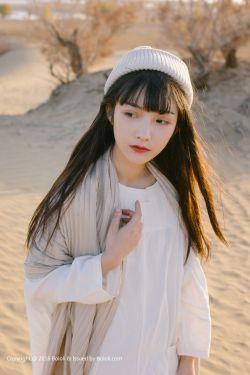 雪鹰 电视剧